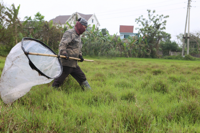Gia đình anh Vượng làm nghề săn cào cào nhiều năm nay. Khu vực 'hành nghề' là 2 tỉnh Nghệ An, Hà Tĩnh.