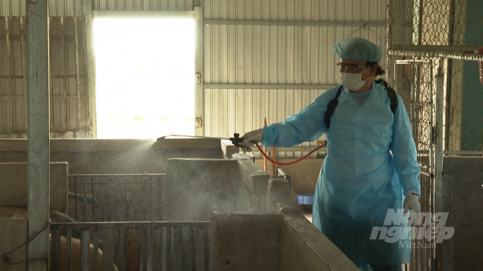 Chi cục Chăn nuôi và Thú y tỉnh Bạc Liêu, cũng đang khẩn trương triển khai thực hiện tiêu độc khử trùng ở các khu chăn nuôi với số lượng lớn trên địa bàn. Ảnh: Trọng Linh.