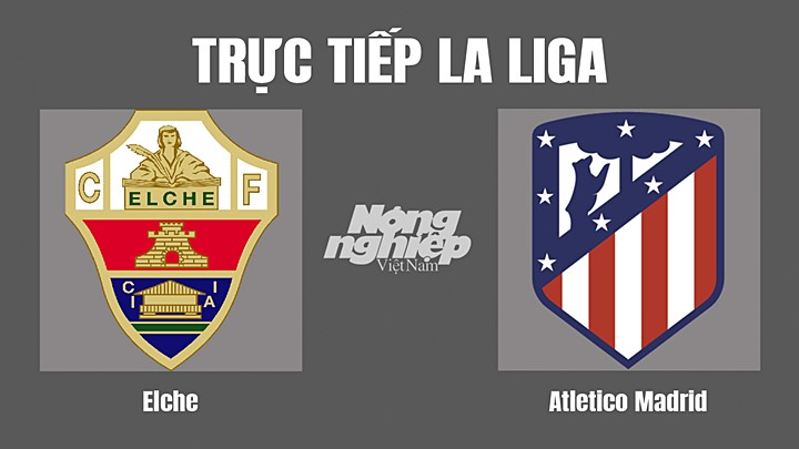 Trực tiếp bóng đá La Liga giữa Elche vs Atletico Madrid hôm nay 12/5/2022