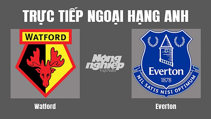 Trực tiếp bóng đá Ngoại hạng Anh giữa Watford vs Everton hôm nay 12/5/2022