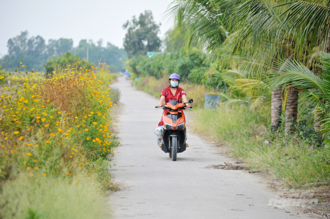 The traffic works supported by the VnSAT project promptly solve difficulties for the transportation of rice and agricultural products, as well as make daily commute more convenient over time, marking an important contribution to the construction of new rural. Photo: Le Hoa.