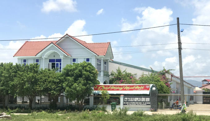 Sepplus Binh Dinh Co., Ltd., a Korean partner with a charter capital of US$1.5 million, located in the industrial cluster of Binh Dinh ward, An NHon Town currently has nearly 1,000 workers. Photo: V.D.T.