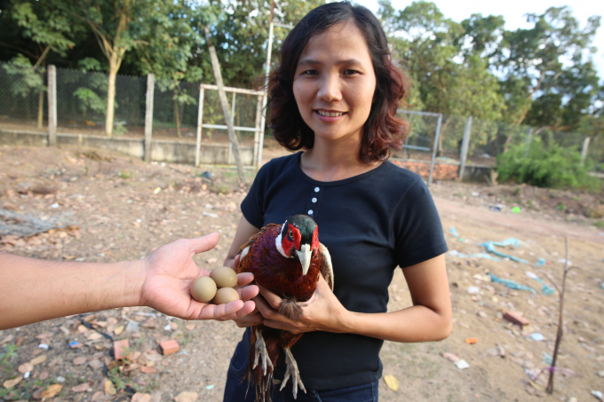 Chị Thanh Hương và con chim trĩ đỏ trống. Ảnh: Hồng Thuỷ.