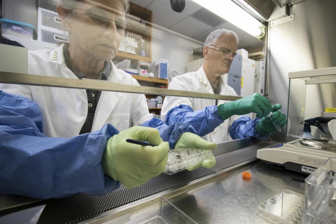 In this 2021 photo provided by the University of Florida, Institute of Food and Agricultural Sciences, Anna-Lisa Paul, left, and Rob Ferl, work with lunar soils in their laboratory in Gainesville, Fla. For the first time, scientists have used lunar soil collected by long-ago moonwalkers to grow plants, with results promising enough that NASA and others already are envisioning hothouses on the moon for the next generation of lunar explorers. Photo: Tyler Jones/UF/IFAS via AP