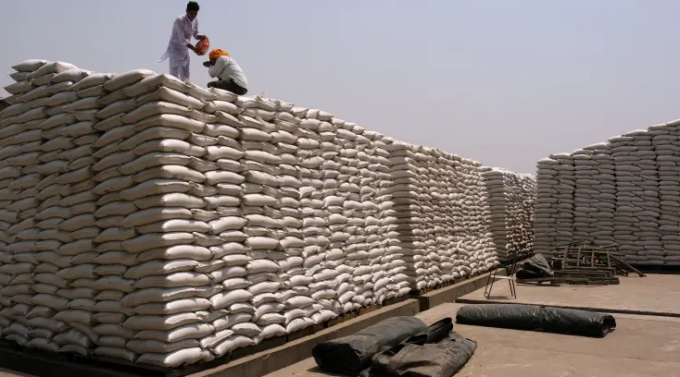 Ấn Độ, nhà sản xuất lúa mì lớn thứ hai thế giới vừa ban hành lệnh cấm tất các loại ngũ cốc, chủ yếu là lúa mì. Ảnh: Bloomberg