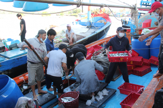Trước ngày 30/7/2022, tỉnh Quảng Ngãi yêu cầu các tàu cá trên 15m phải hoàn tất việc lắp đặt thiết bị giám sát hành trình. Ảnh: L.K.
