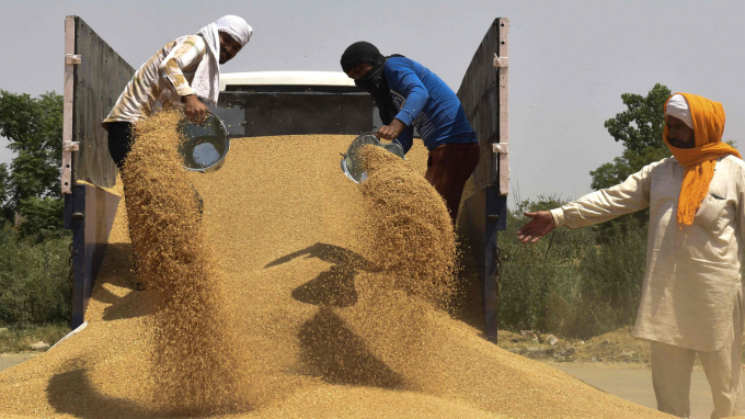 There’s a big debate in the cor- ridors of power in the national capital and it revolves around one simple issue: Should India save wheat, or continue the exports?. Photo: RT