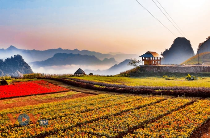 Bình nguyên Khai Trung, huyện Lục Yên có khí hậu như Đà Lạt thứ hai rất phù hợp để phát triển mô hình du lịch trekking và phát triển homestay.
