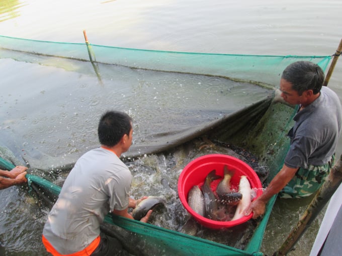 Nhiều thách thức với ngành thủy sản đồng bằng sông Cửu Long  Báo Công an  Nhân dân điện tử