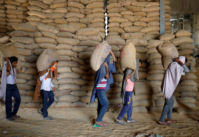 Nhân công Ấn Độ khuân vác lúa mì đến một nhà máy chế biến xuất khẩu ở ngoại ô thành phố Ahmedabad, hôm 16 tháng 5 năm 2022. Ảnh: Reuters