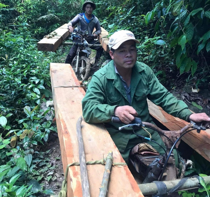 Hai đối tượng bị khởi tố vì khái thác gần 20 m3 gỗ lậu ở Gia Lai đưa về Đăk Lăk tiêu thụ. Ảnh CA.