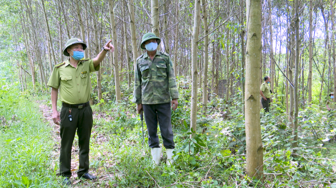 Cán bộ Hạt Kiểm lâm huyện Đức Thọ, Hà Tĩnh bảo vệ rừng. Ảnh: TL.