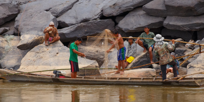 Nhiều ngư dân vùng hạ nguồn Campuchia và Thái Lan đã phải chuyển đổi nghề sang chăn nuôi vỗ béo bò hoặc đi phụ hồ xây dựng vì nguồn lợi thủy sản trên sông Mekong ngày một cạn kiệt. Ảnh: EB