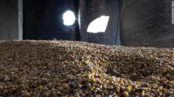 Corn lies scattered in a grain warehouse damaged by Russian tanks on May 14, 2022 in Cherkska Lozova, Ukraine. Photo: CNN