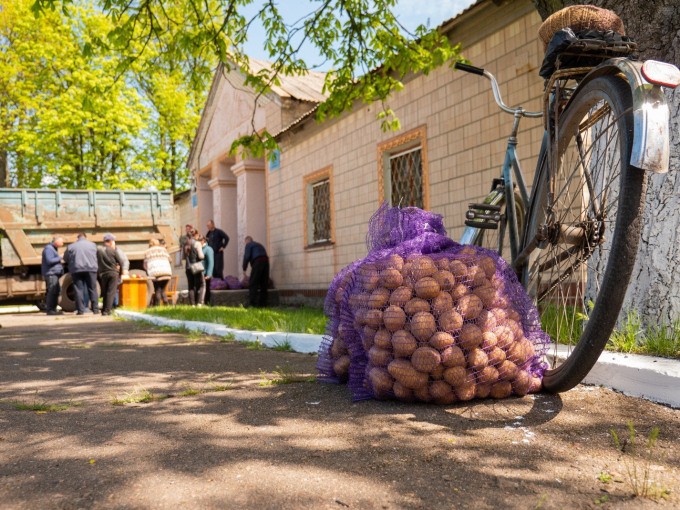 Seed potato distribution in Dnipropetrovska oblast, Ukraine. Photo: Oleksandr Mliekov