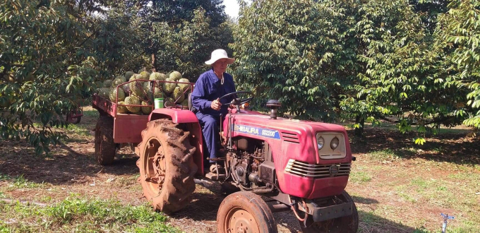 Mr. Ba Dao applies mechanization to production, which reduces labor and increases profits. Photo: Tran Trung.