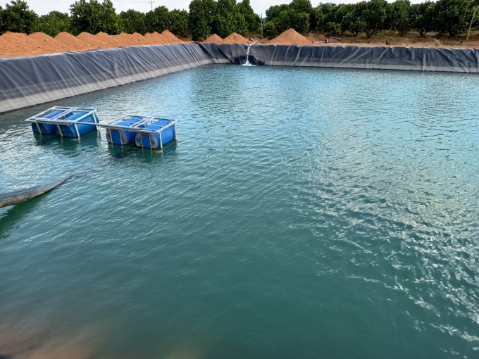 The water storage system ensuring regular and continuous water supply for the farm in the dry season is modernly built to meet irrigation needs. Photo: Tran Trung.