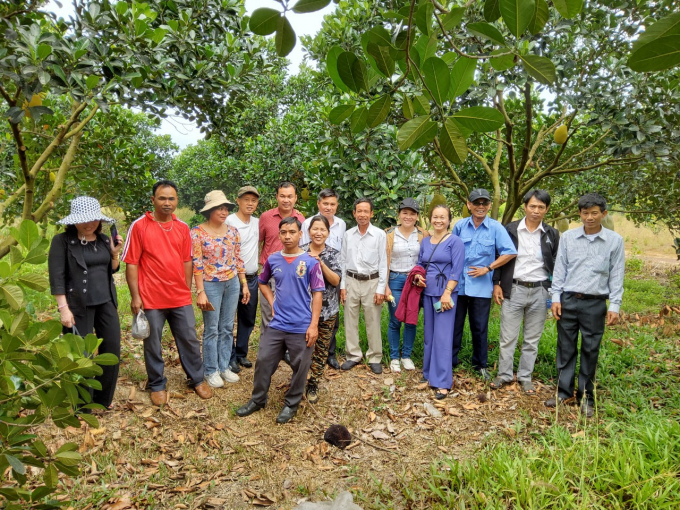 Mr. Vi (red shirt, 5th from the left) shares farming techniques with members of Dak O Cooperative. Photo: Tran Trung.