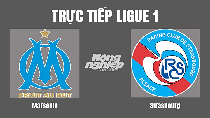 Trực tiếp bóng đá Ligue 1 giữa Marseille vs Strasbourg hôm nay 22/5/2022