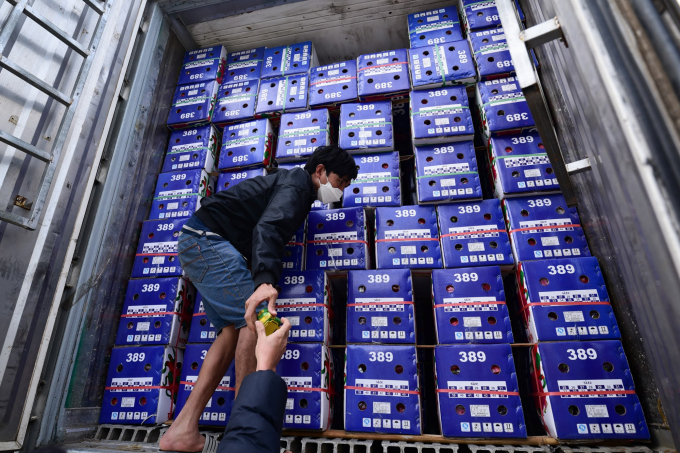 Chinese customs once detected signs of Covid-19 on Vietnamese product packages and fruit transporting trucks. Photo: Tung Dinh.