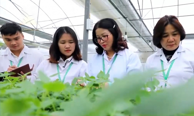 Prof. Dr. Nguyen Thi Lan (second from right) directly guides and often suggests, inspires scientific research for students.