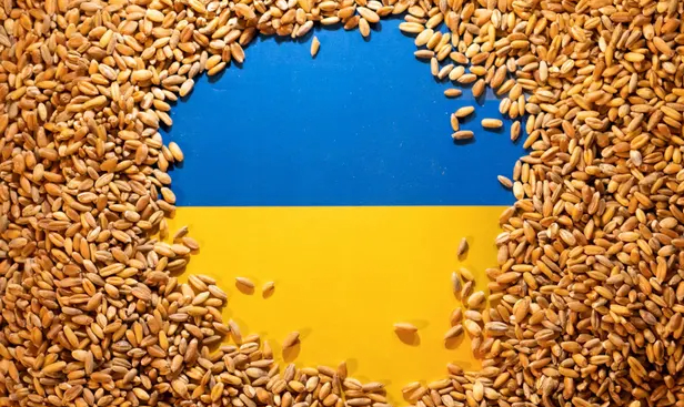 Ukrainian flag is covered with grains. Photo: Dado Ruvić/Reuters