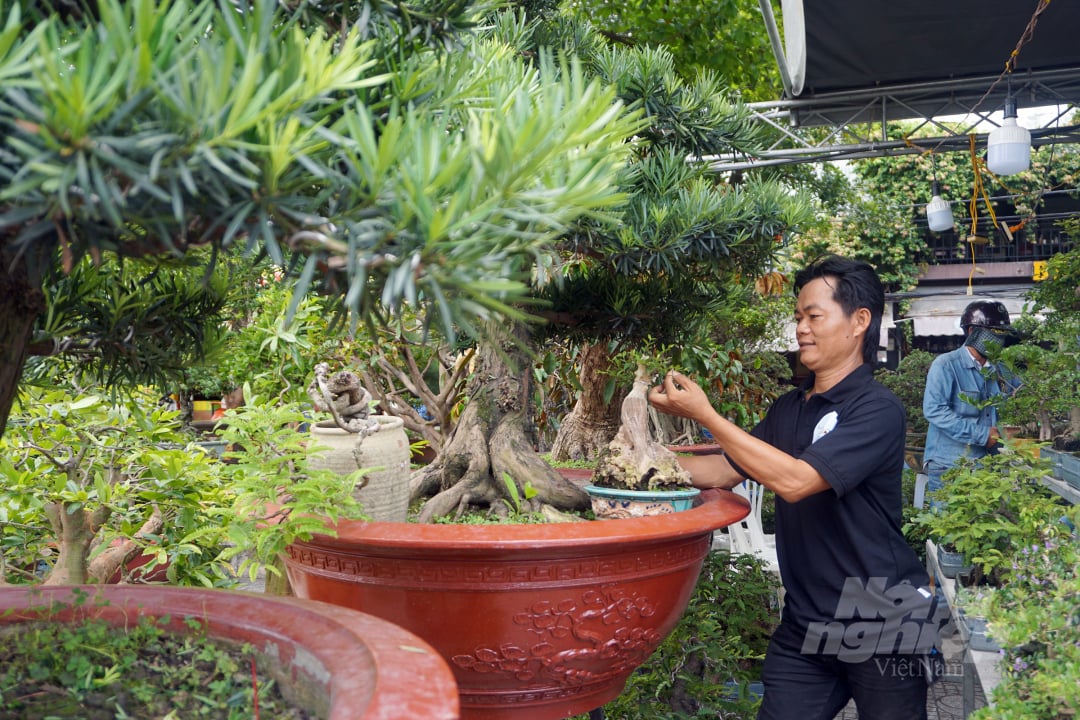 Anh Ngô Thanh Quang chủ vườn bonsai Chú Thoòng (Thành phố Thủ Đức) đem rất nhiều chủng loại cây cảnh, bonsai đến tham gia hội chợ, triển lãm.