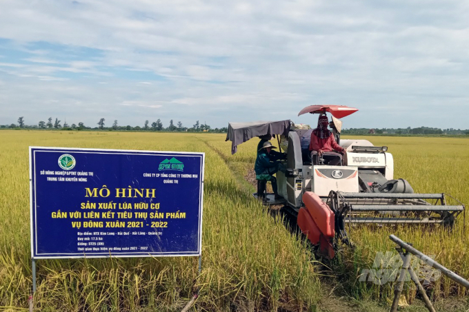 Giảm chi phí đầu vào, giải phóng sức lao động, tạo thuận lợi cho áp dụng cơ giới hóa và tiến bộ khoa học vào sản xuất... là những lợi ích cánh đồng lớn mang lại. Ảnh: Võ Dũng.