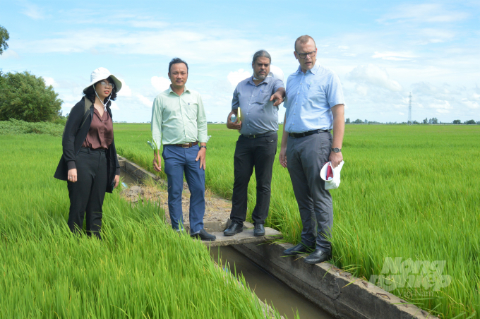Hợp tác xã Kênh 7A được Dự án VnSAT đầu tư cơ sở hạ tầng, trong đó có hệ thống mương nổi dẫn nước trực tiếp vào ruộng từng hộ, giúp nông dân sản xuất lúa thuận lợi hơn, tăng hiệu quả kinh tế. Ảnh: Trung Chánh.