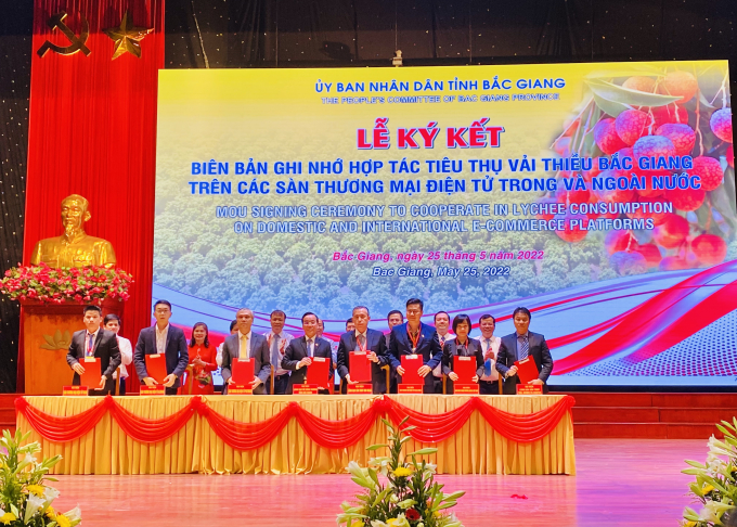 Lễ ký kết hợp tác tiêu thụ vải thiều giữa tỉnh Bắc Giang và Tập đoàn Central Retail. NH.