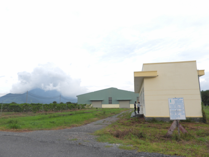 The processing plant and product display center has finished construction and is ready for operation. Photo: Tran Trung.