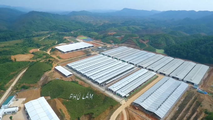 Breeding farm of Phu Lam enterprise. Photo: Tien Thanh.