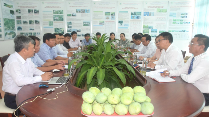 Sinh Loi Group and ASISOV worked on the strategic direction for the development of a large fruit tree material area in Binh Dinh. Photo: V.D.T.