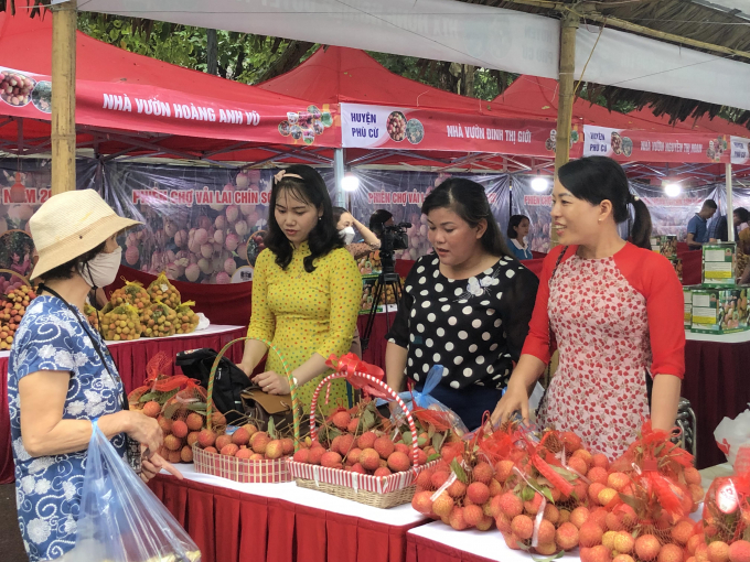 Phiên chợ vải năm nay cũng là dịp để người dân các địa phương khác biết tới thương hiệu vải Hưng Yên nhiều hơn.