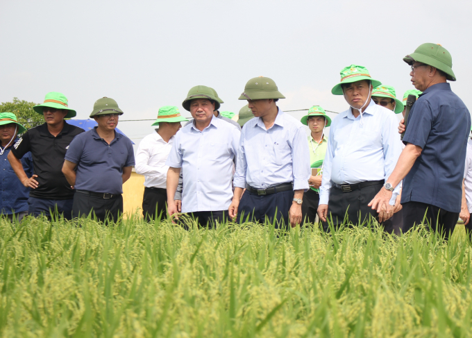 Thứ trưởng Lê Quốc Doanh (thứ 4 từ phải sang) cùng các đại biểu tham quan mô hình khảo nghiệm một số giống lúa, ngô mới tại Viện Nghiên cứu cây trồng của Tập đoàn Thaibinh Seed. Ảnh: Trung Quân.