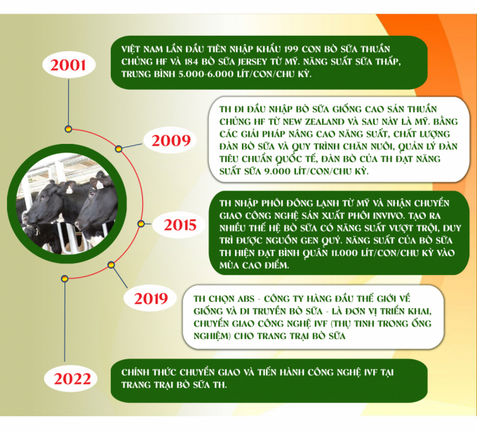 Timeline of TH Group's dairy cow development.