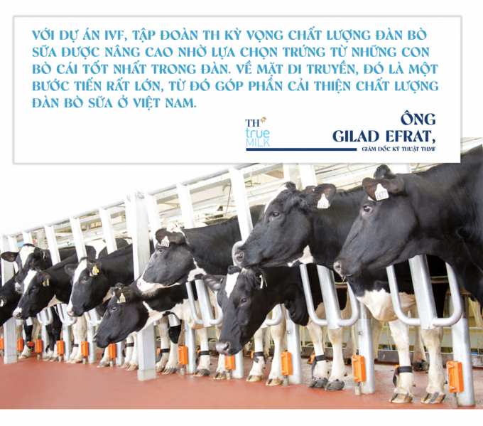 'With the IVF project, TH Group expects the quality of dairy cows to improve thanks to the selection of eggs from the best cows in the herd.' - Mr. Gilad Efrat.