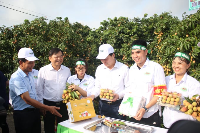 Thứ trưởng Bộ NN-PTNT Nguyễn Hoàng Hiệp (thứ 2 từ trái sang) và Bí thư Tỉnh ủy Hải Dương Phạm Xuân Thăng (thứ 3 từ phải sang) trao giải thưởng cho các đội thi tham gia thu hoạch vải.