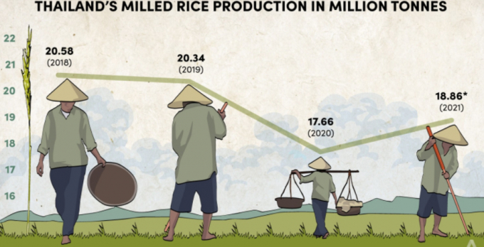 Sản lượng gạo thành phẩm của Thái Lan trong bốn năm vừa qua (đon vị: triệu tấn). Đồ họa: TREA