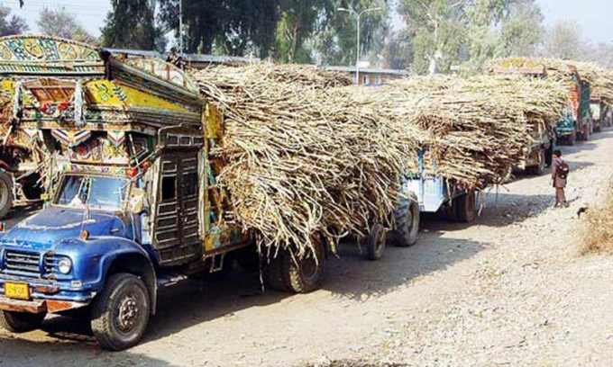 Reduction in production is caused mainly by controversy over of fixation of cane price. Photo: Dawn