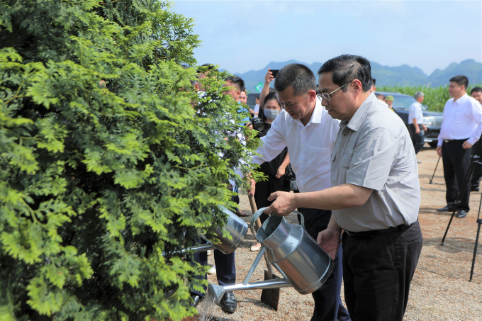 Thủ tướng Chính phủ và các đại biểu trồng cây lưu niệm tại dự án. 