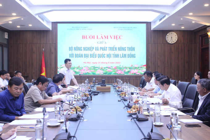 The working delegates of the Ministry of Agriculture and Rural Development will pay a visit to Lam Dong in the near future to grasp the situation in the province specifically the existing difficulties and challenges and come up with solutions. Photo: Trung Quan.