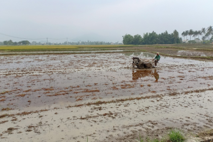 Nông dân Khánh Hòa làm đất để gieo sạ vụ hè thu. Ảnh: KS.