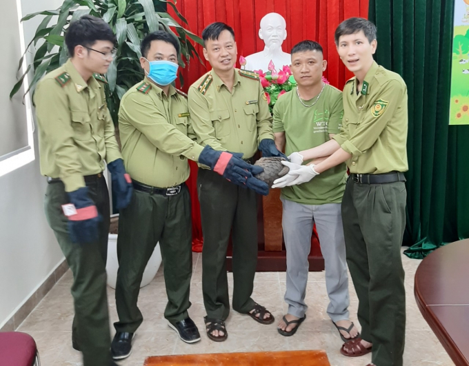 Người dân tại phường Dư Hàng Kênh tự nguyện giao nộp cá thể tê tê java cho Chi cục Kiểm lâm thành phố Hải Phòng.