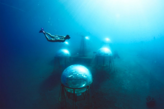 Toàn cảnh dự án nhà kính dưới nước ở ngoài khơi vùng Liguria, Italia. Ảnh: Nemo's Garden