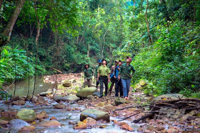 Tổ tuần tra bảo vệ rừng thôn Hồ (xã Hướng Sơn) phối hợp với cán bộ kiểm lâm địa bàn làm nhiệm vụ bảo vệ sự bình yên cho những cánh rừng. Ảnh: VD.