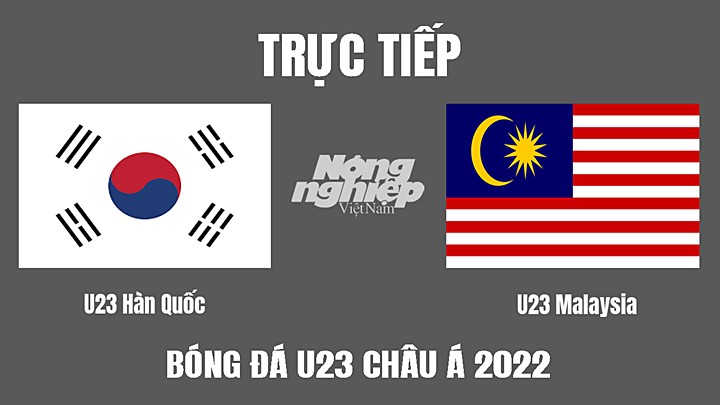 Trực tiếp bóng đá U23 Châu Á 2022 giữa Hàn Quốc vs Malaysia hôm nay 2/6/2022