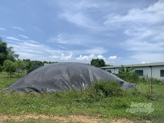 Bể biogas trang trại nuôi gần 1.000 con lợn thịt của hộ ông Hạnh. Ảnh: Thanh Nga.
