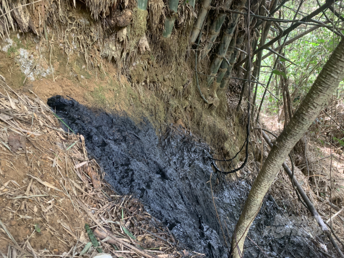 Dòng nước thải đen ngòm được xác định chảy trực tiếp từ bể biogas trang trại ông Phan Ngọc Hạnh ra khe Ma Ca. Ảnh: Thanh Nga.