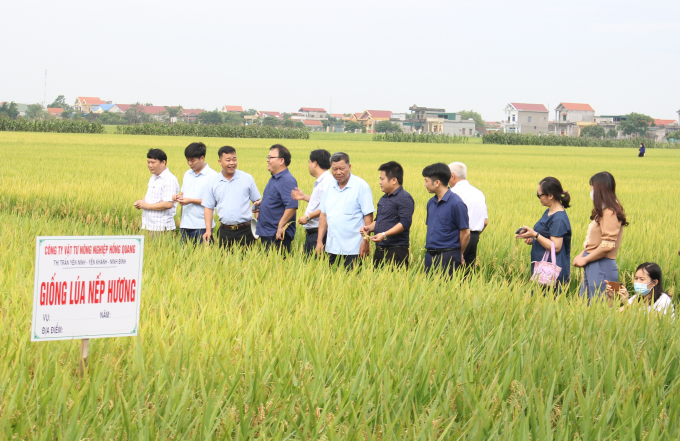 Các đại biểu thăm mô hình liên kết sản xuất lúa giống trong vụ xuân 2022 của Công ty TNHH Vật tư nông nghiệp Hồng Quang tại xã Khánh Trung (Yên Khánh). Ảnh: Trung Quân.